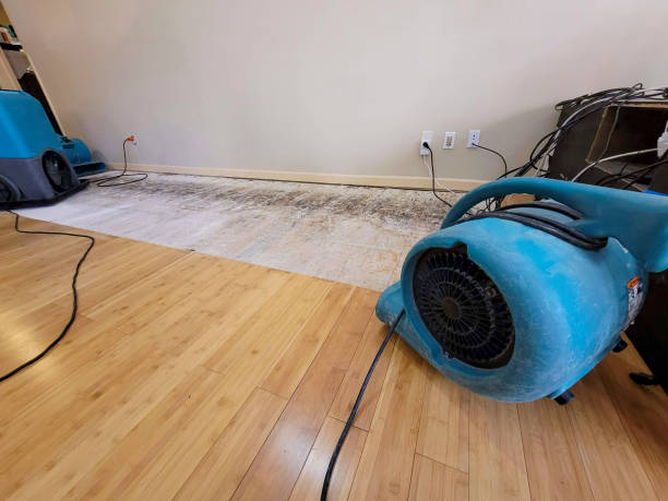 Professional Structural Drying technician working in Concord, NH